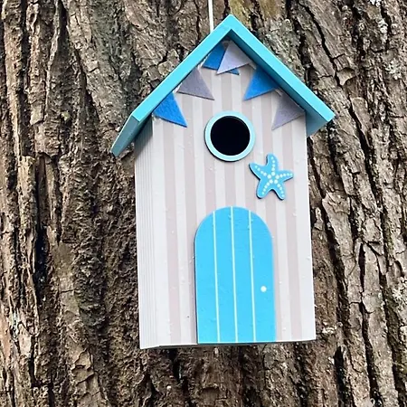 Fachwerk In Bergfreiheit Daire *