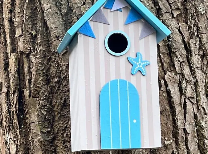 Fachwerk In Bergfreiheit דירה *